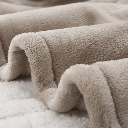 Dual Control Electric Heated Blanket with 10 Heat Levels - Auto Shutoff, Overheat Protection, Fast Heating