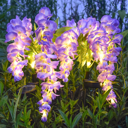 Solar Garden Lights 52-LED Wisteria Flower Stake with Two Modes and Six Color Options for Patio
