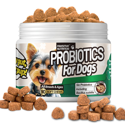 Dog Probiotic Supplement 6 Billion CFU with Prebiotic – 90 Chicken Flavor Chews for Itching Skin Relief, Digestive & Immune Health