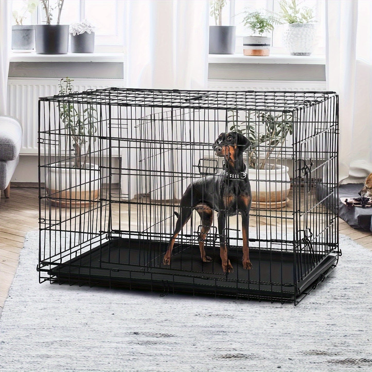 Dog Crate Double Door Folding Metal Cage with Divider & Leak-Proof Tray – 42 & 48 Inch Wire Kennel for Puppies, Medium & Large Dogs