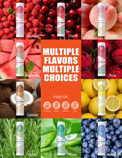 Fruit Flavored Lip Gloss Set 50 Pieces – Moisturizing Lip Balm Kit in 10 Colors, Hydrating Lip Care for Dry & Cracked Lips, Day & Night Use