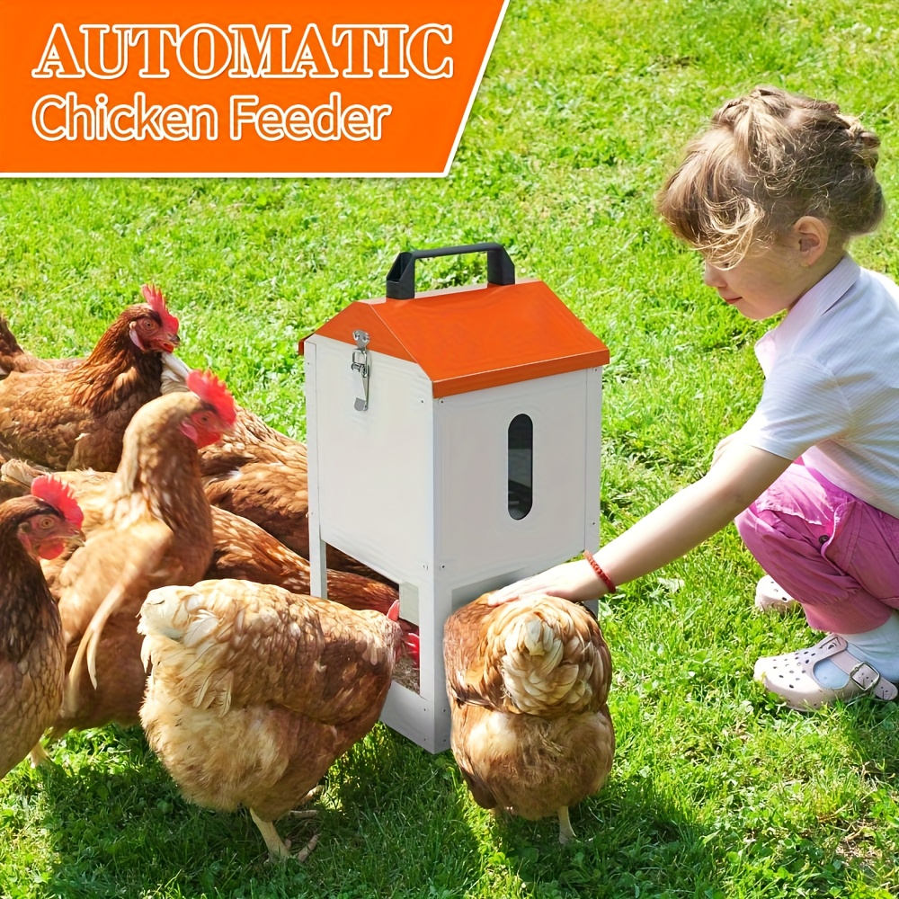 Chicken Feeder Stainless Steel 20 lbs Visible Window Portable Handle