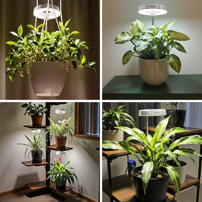 Full Spectrum LED Grow Lights for Indoor Plants, 3-Pack with Auto Timer 3/6/9H, 4 Dimmable Levels & Adjustable Height