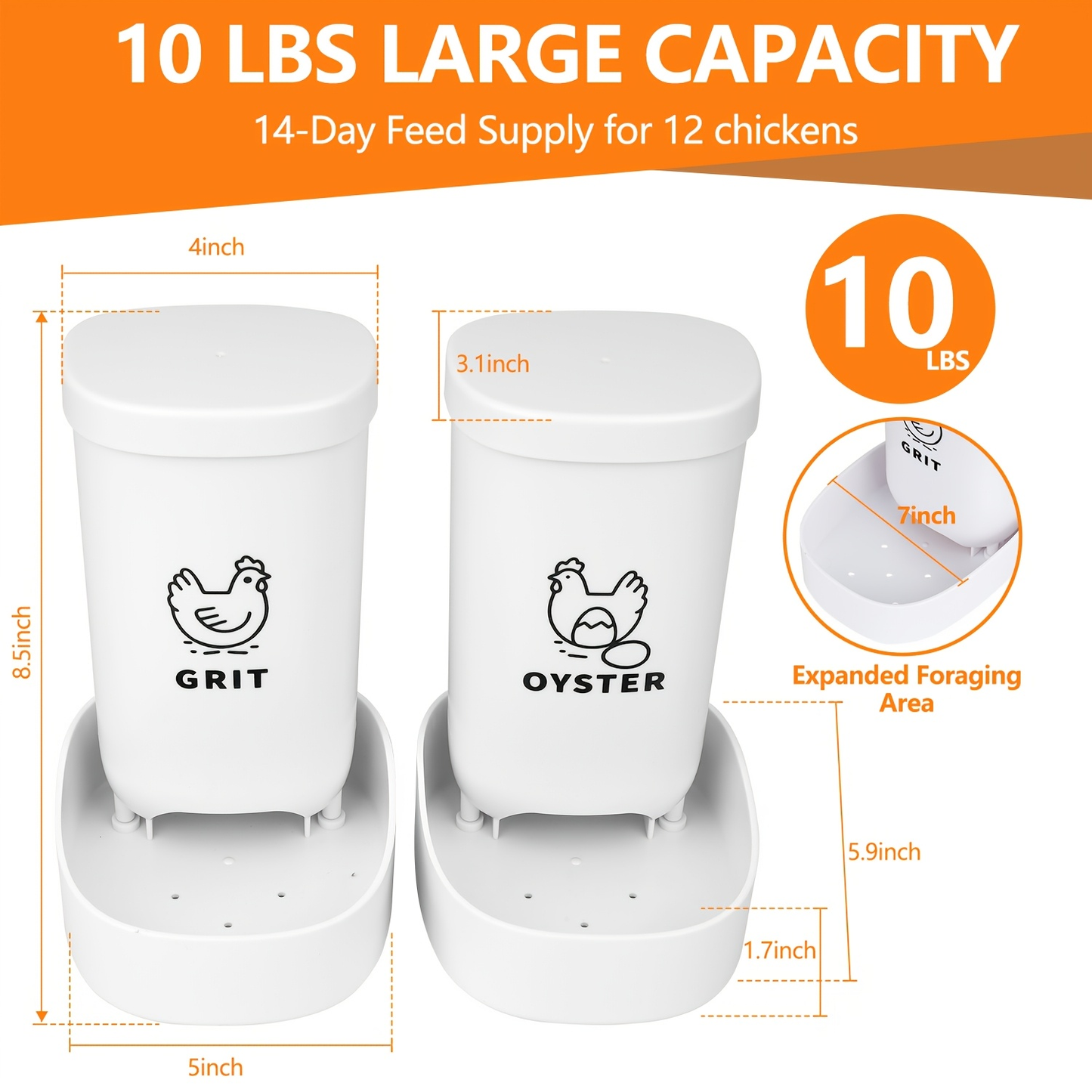 Oyster Shell Feeder & Grit Feeder Set Gravity Fed Waterproof 2-Pack