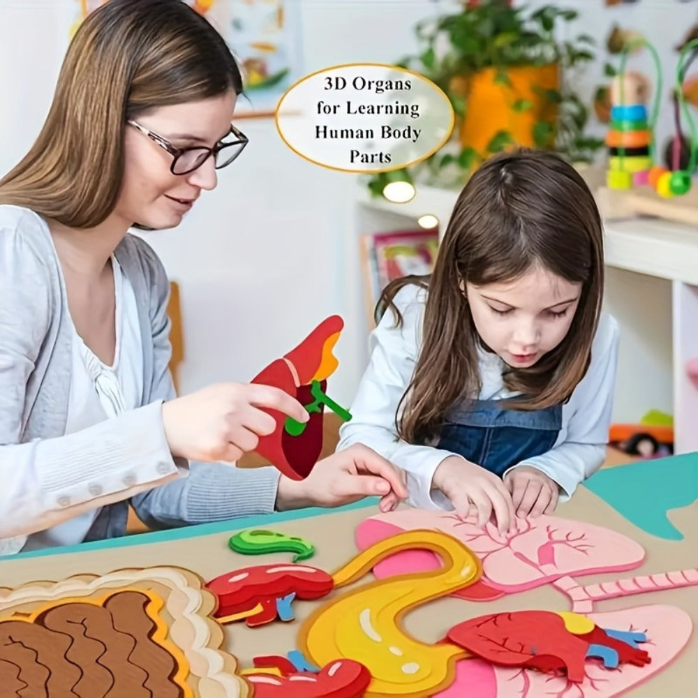 Human Body Felt Board Anatomy Model – 3D Felt Organ Science Educational Toy for Kids Ages 5+, Homeschool Biology Classroom Teaching Aid