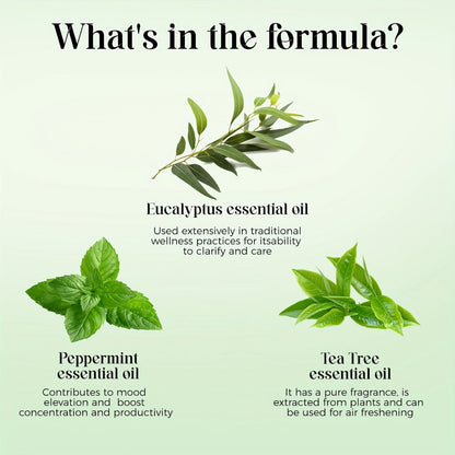 Lavender Essential Oil 4oz, Pure Aromatherapy Oil for Diffuser, Candle, Humidifier & Massage, Also in Eucalyptus