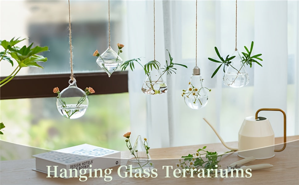 Hanging Planter | Glass Terrarium Hydroponic Air Plant Wall Decor Home