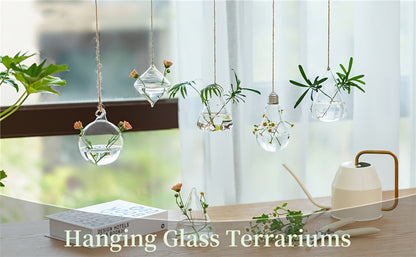 Hanging Planter | Glass Terrarium Hydroponic Air Plant Wall Decor Home