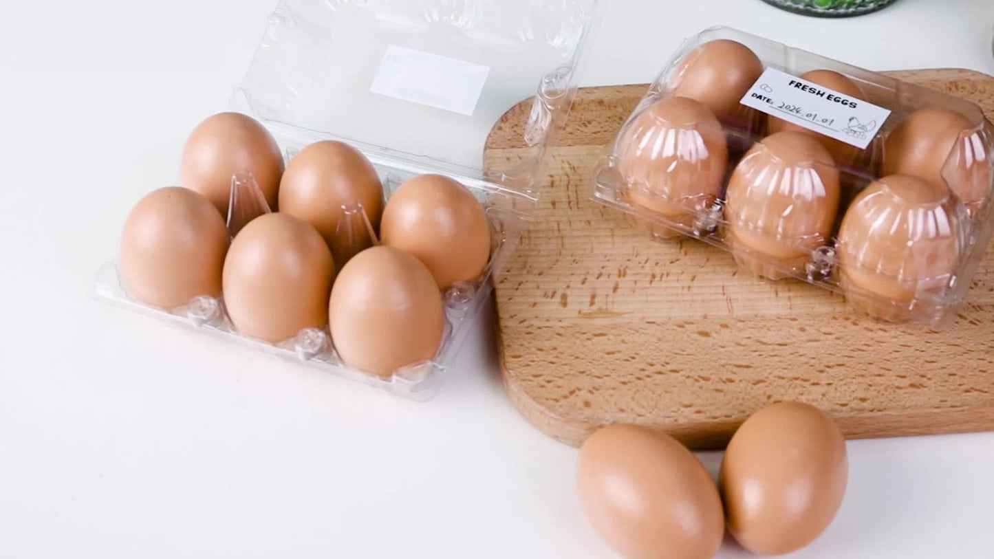 Plastic Egg Cartons, 60 Pack Clear 6-Cavity Reusable Egg Holders with 4 Label Stickers – Bulk Egg Carton Set for Home, Ranch, Chicken Farm