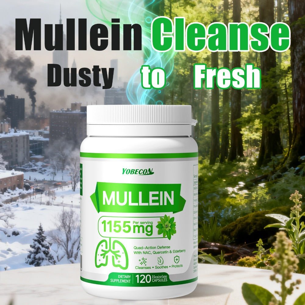 Herbal Supplement with YOBECON Label, Mullein NAC Quercetin Elderberry 1155mg per Serving, 120 Capsules