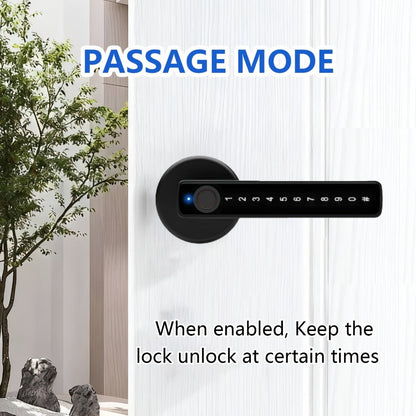 Smart Door Lock Handle with Fingerprint PIN IC Card and Key Access plus Four AAA Power and Type-C Port