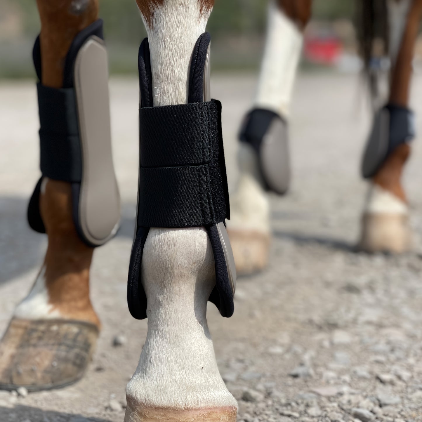 Horse Boots Set of 4 – Open Front Tendon & Fetlock Leg Protection Boots, PU Neoprene Splint Boots for Training, Racing, Riding & Jumping