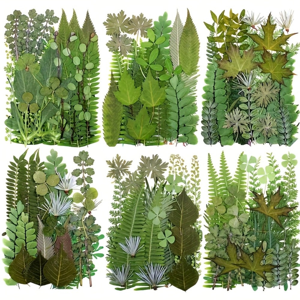 Dried Flower Material Pack 120pcs for Entryways, Bedrooms and Living Spaces, with the Listed Configuration