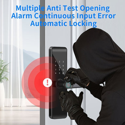Smart Door Lock with Fingerprint Keypad Card App Access and Optional Camera Handle Models in Black