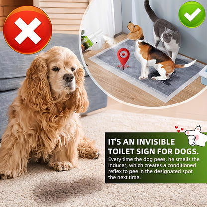 Puppy Potty Training Spray – Pheromone-Inspired Indoor Spot Guidance for Dogs & Cats, Helps Puppies & Kittens Recognize the Right Bathroom