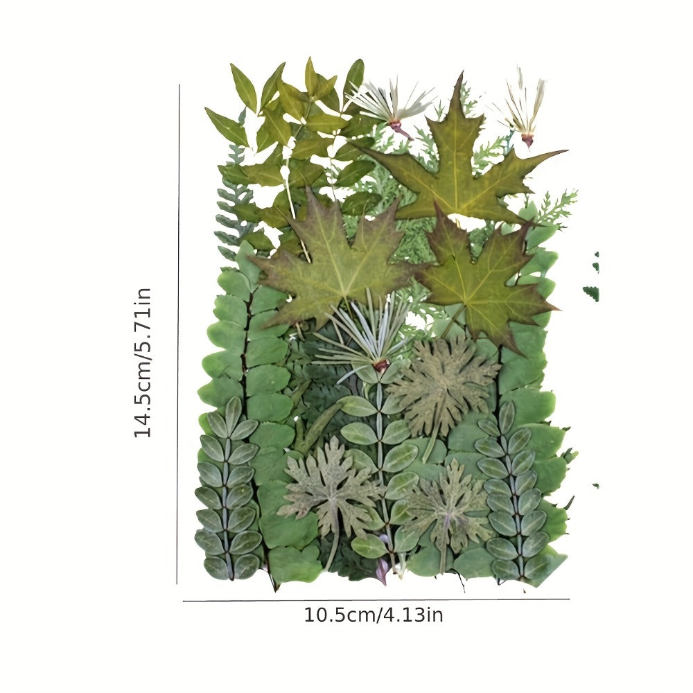Dried Flower Material Pack 120pcs for Entryways, Bedrooms and Living Spaces, with the Listed Configuration