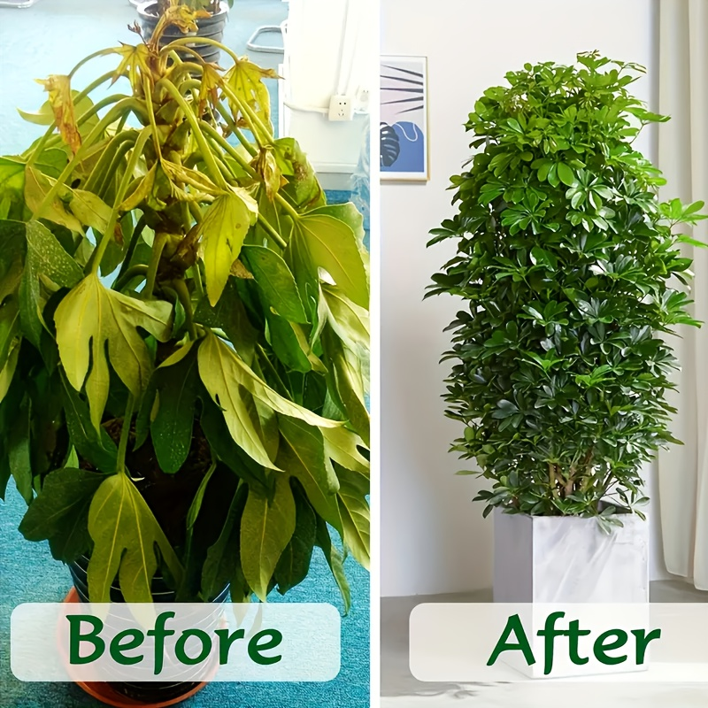 Coco Coir Bricks Natural Coconut Fiber Planting Soil | Compressed Coir Block Expands 6x for Hydroponics Potting Mix Garden Beds | 200g 400g