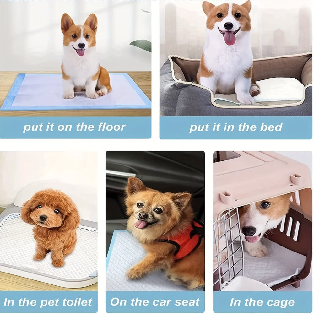 Disposable Incontinence Bed Pads for Adults and Elderly Thickened Highly Leak-Proof Underpads for Entryways, Bedrooms and Living Spaces
