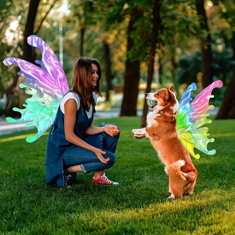 LED Fairy Wings USB Rechargeable Light Up Butterfly Wings for Girls with the Listed Color, Size or Set Options for Everyday Use