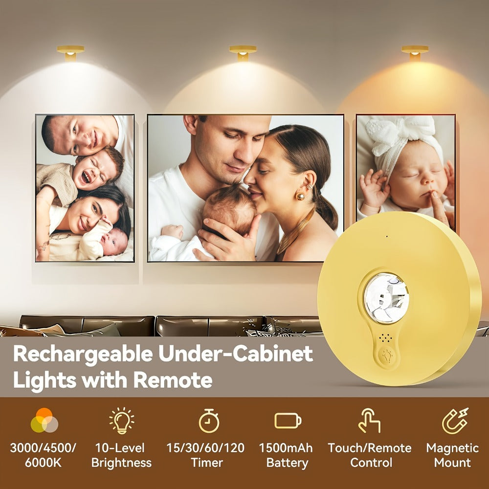 Picture Lights for Wall Rechargeable, Magnetic LED Art Display Light with Remote 3 Color Temperatures Dimmable Timer Golden Finish