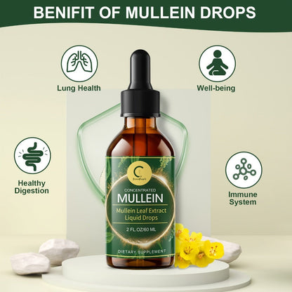 Mullein Leaf Liquid Tincture for Lung & Respiratory Health, Fast-Absorbing Herbal Drops for Breathing Support
