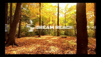 Camping Axe for Garden, Patio and Yard Use, with the Listed Configuration, for Everyday Use and Organized Storage