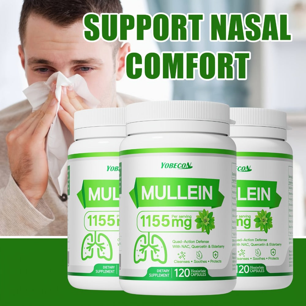 Herbal Supplement with YOBECON Label, Mullein NAC Quercetin Elderberry 1155mg per Serving, 120 Capsules