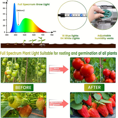 Seed Starting Tray Kit 4-Set 160 Cells High Dome | 8 LED Grow Lights Smart Timer 3 Modes 5 Brightness | Indoor Greenhouse Germination