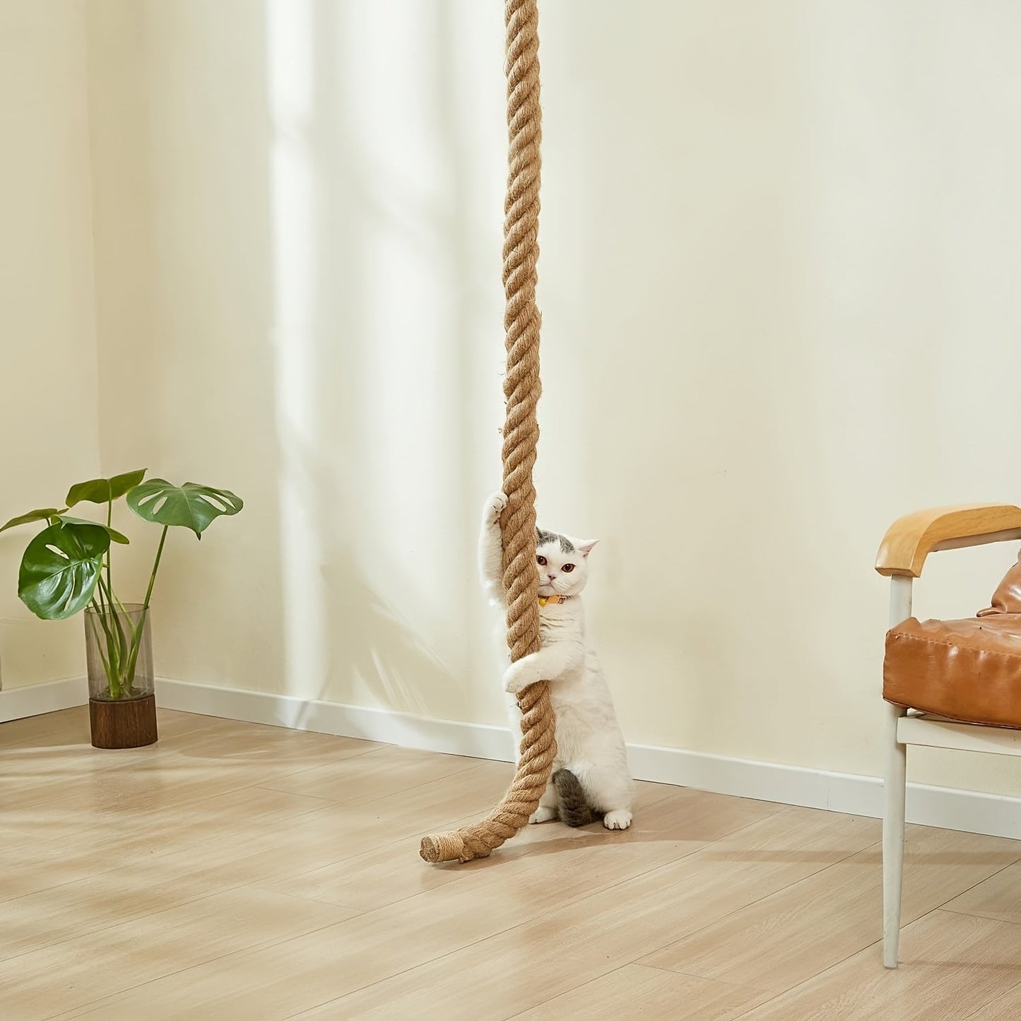 Wall-Mounted 60in Cat Climbing Rope Set with Upper Bracket, Lower Anchor and Small Wood Perch