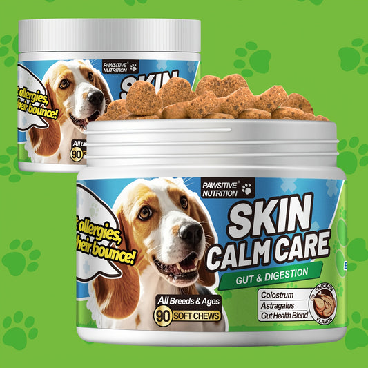 Dog Skin & Immune Probiotic Chews with Bovine Colostrum – 6 Billion CFUs, Dried Fermentate & Astragalus for Skin Calm & Immune Support