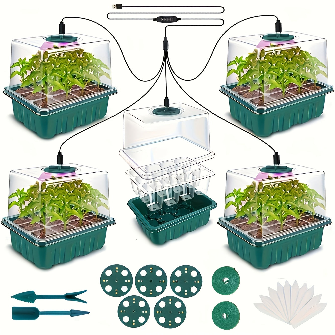 Seed Starting Kit LED Grow Light Timer, Indoor Seedling Tray Dome for Garden, Patio and Yard Use