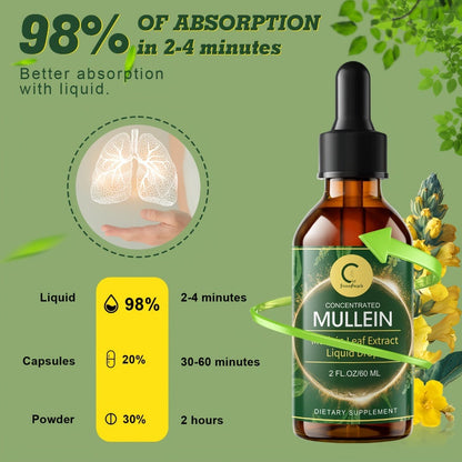 Mullein Leaf Liquid Tincture for Lung & Respiratory Health, Fast-Absorbing Herbal Drops for Breathing Support