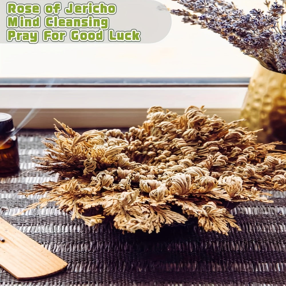 Rose of Jericho 20pcs - Selaginella Lepidophylla Dried Prayer Plants for Spiritual Purification