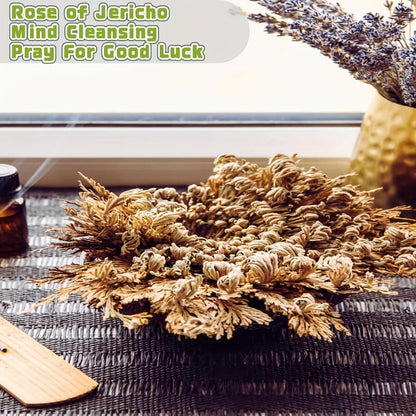Rose of Jericho 20pcs - Selaginella Lepidophylla Dried Prayer Plants for Spiritual Purification