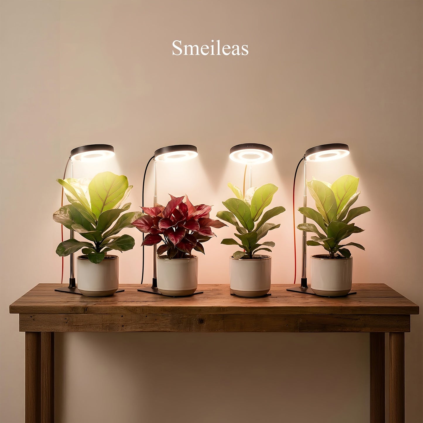 Four-Piece Tabletop Ring LED Plant Lamp Set with USB 3/6/9H Timer, Adjustable Poles and Bases