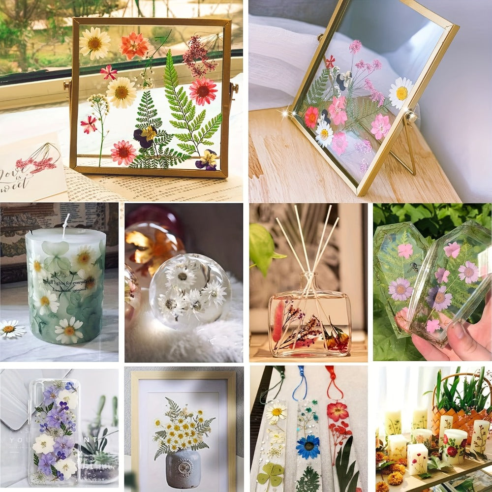 Dried Pressed Flowers Kit 500pcs – Natural Real Flower Petals & Leaves for Resin Art, Nail Art, Jewelry Making, Scrapbooking