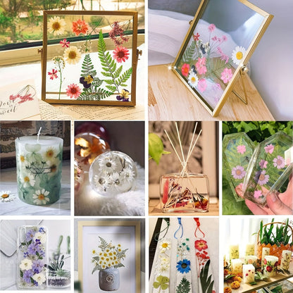 Dried Pressed Flowers Kit 500pcs – Natural Real Flower Petals & Leaves for Resin Art, Nail Art, Jewelry Making, Scrapbooking