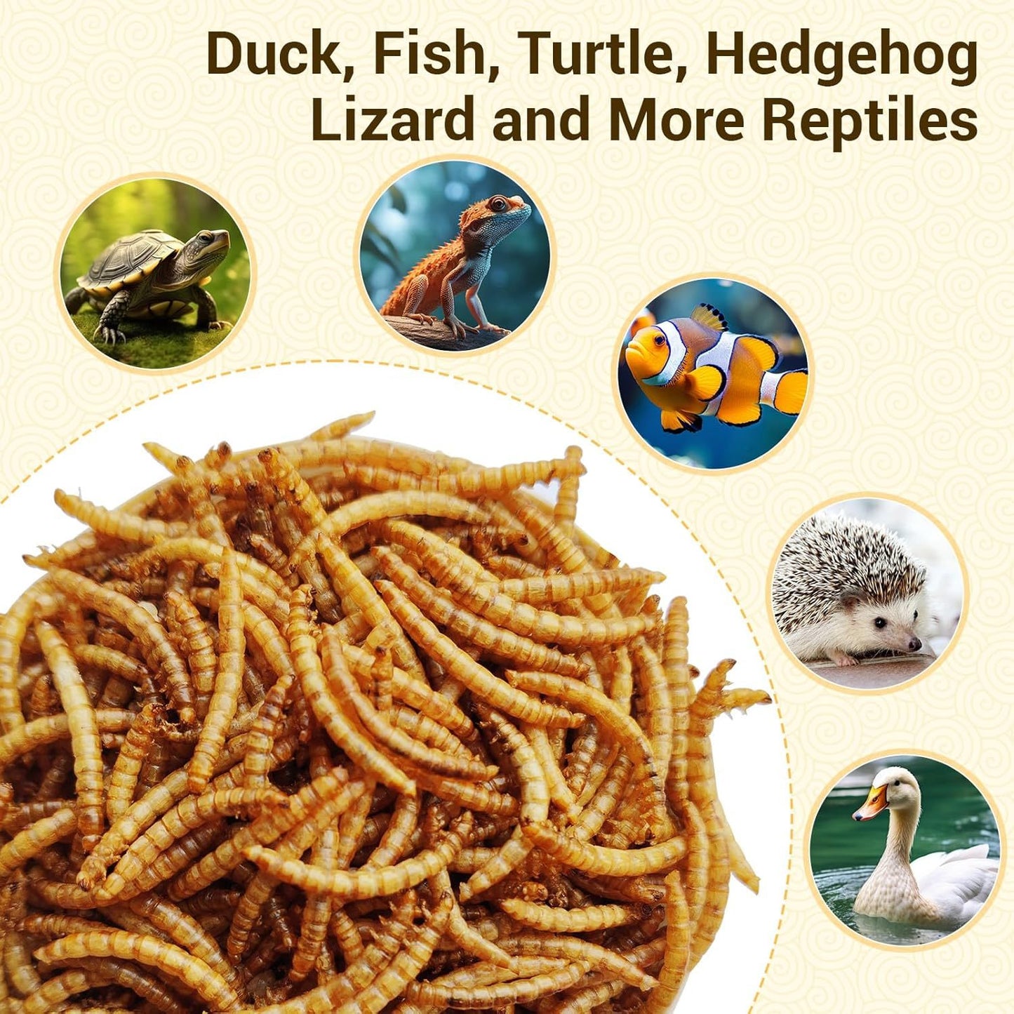Dried Mealworms High Protein Animal Feed – Natural Insect Treats for Chickens Wild Birds Hens Ducks Turtles Fish Lizards Hamsters
