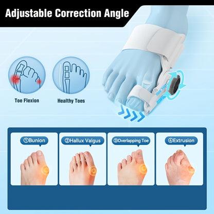Bunion Corrector for Women & Men 2 Pack - Adjustable Big Toe Straightener with Pad for Entryways, Bedrooms and Living Spaces
