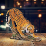 GSC7819711