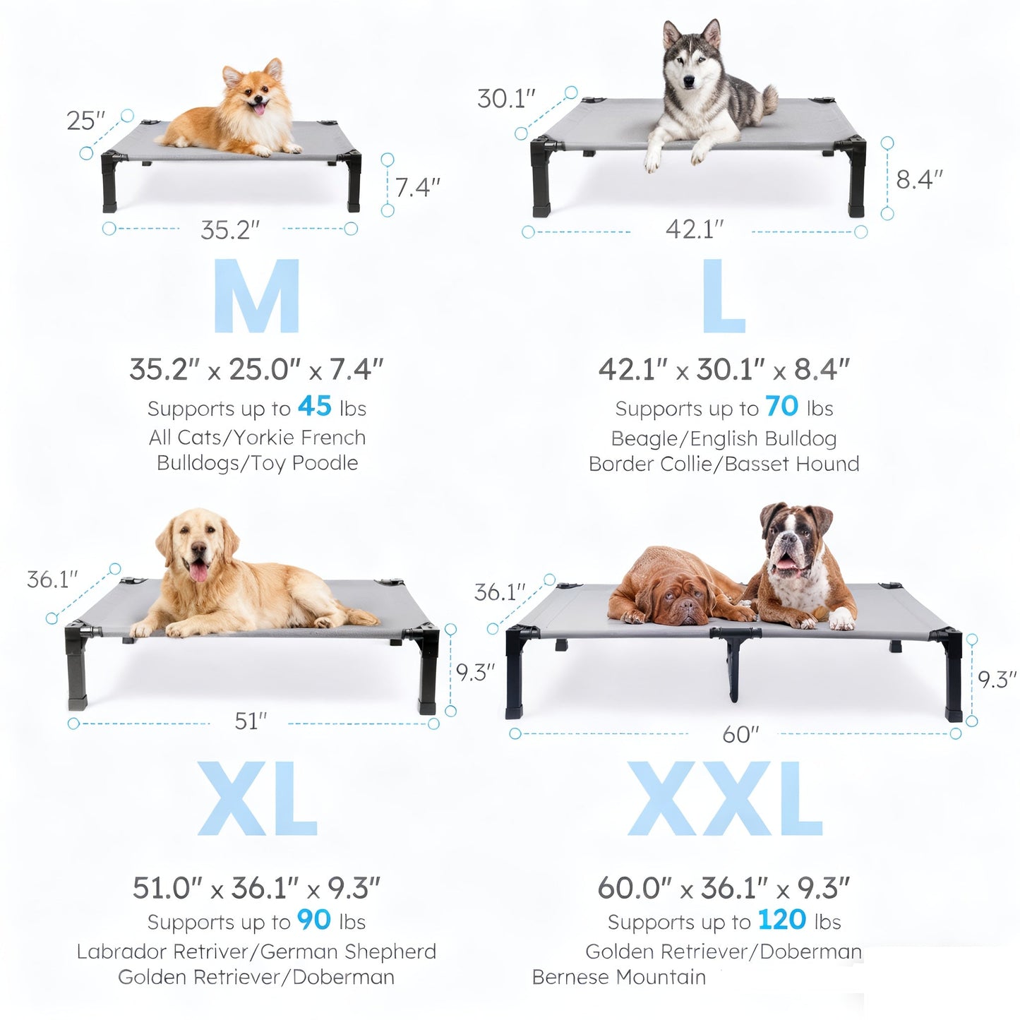 Elevated Mesh Dog Cot Bed with Folding-Leg Frame, Seven Colors and Four Labeled Sizes from 35 to 60 Inches