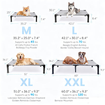 Elevated Mesh Dog Cot Bed with Folding-Leg Frame, Seven Colors and Four Labeled Sizes from 35 to 60 Inches