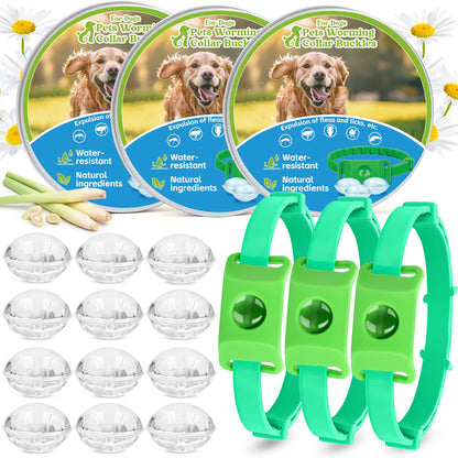 Flea & Tick Repellent Tag for Dogs – Natural Peppermint Essential Oil Capsules, 24/7 Chemical-Free Protection for Indoor & Outdoor Use