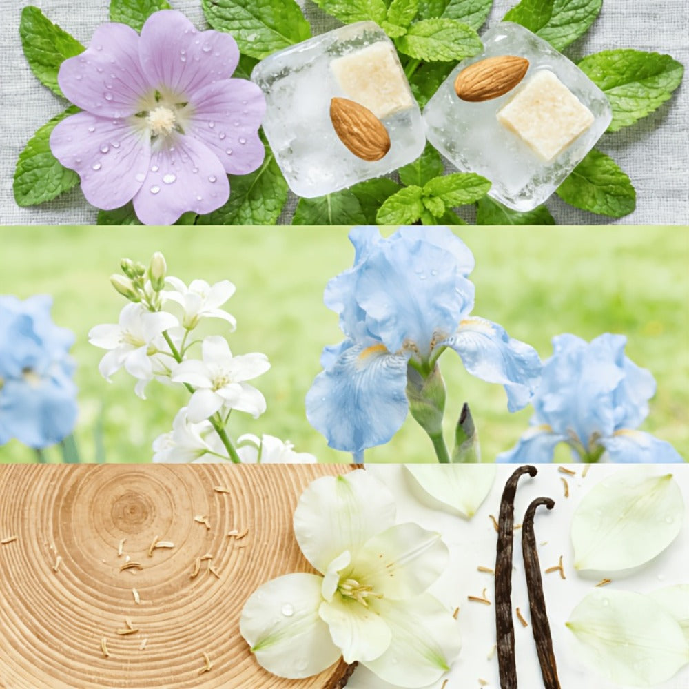 Couple Perfume Set Disney Stitch & Angel, Fresh Floral Natural Extract Fragrance, Stitch, Angie & Sample Styles