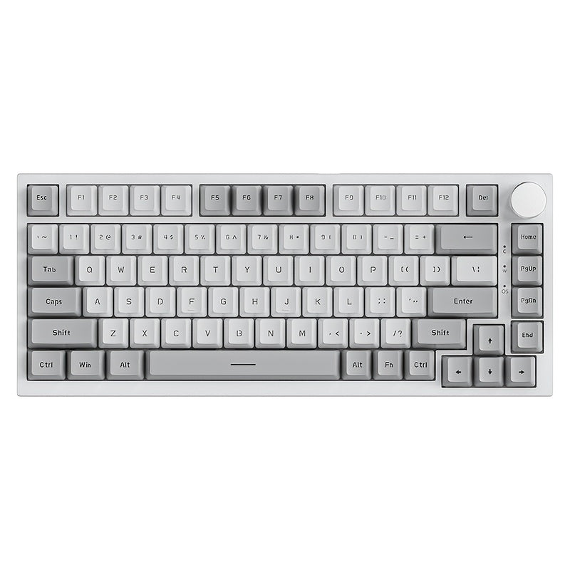 Hot Swap Gasket Mechanical Keyboard AJAZZ AK820 75%, Wireless 2.4GHz & Wired, Volume Knob, South-Facing RGB