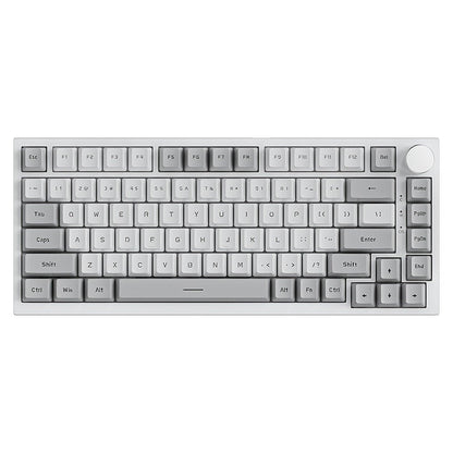 Hot Swap Gasket Mechanical Keyboard AJAZZ AK820 75%, Wireless 2.4GHz & Wired, Volume Knob, South-Facing RGB
