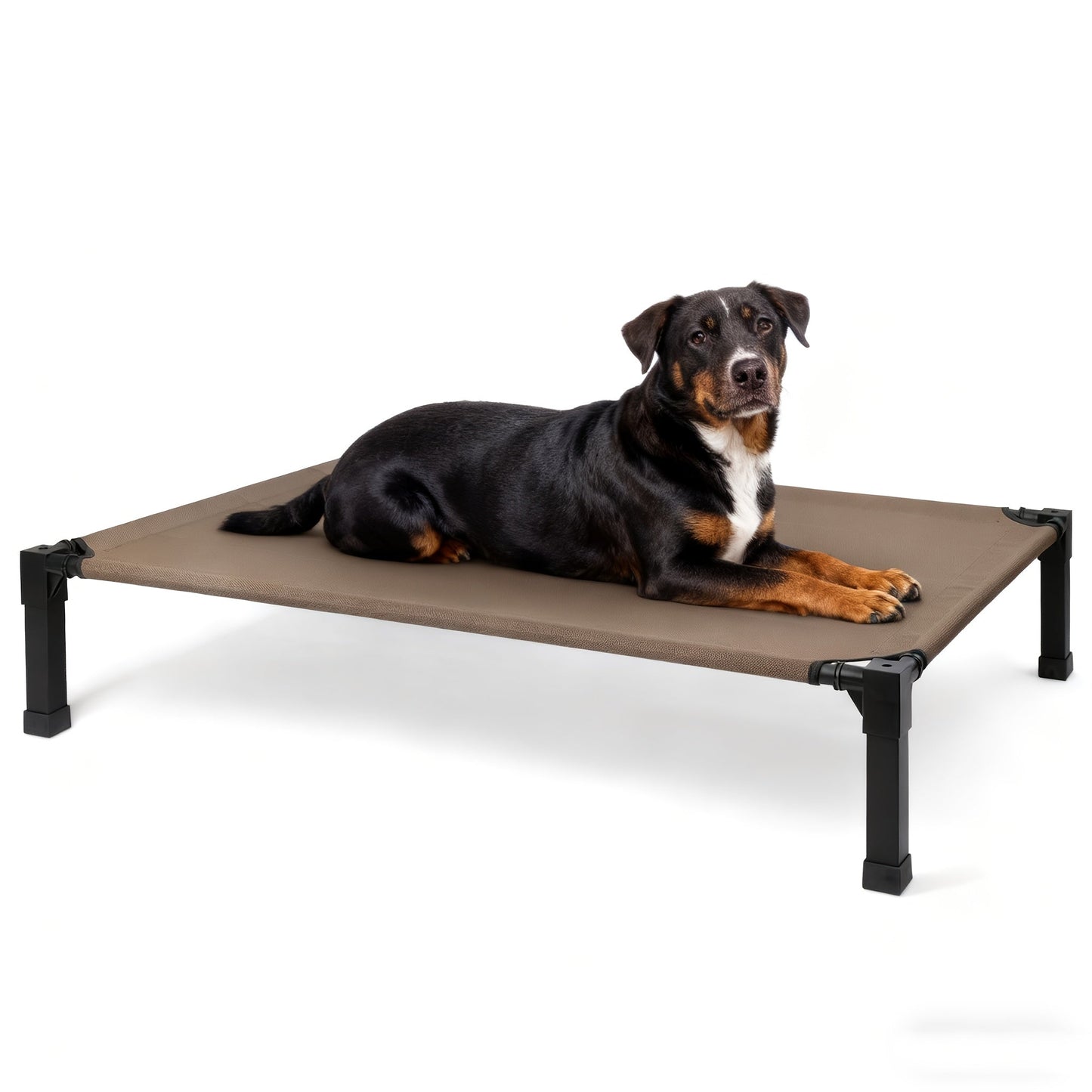Elevated Pet Cot with Metal Frame, Textilene-Labeled Mesh Deck, Four Sizes and Seven Colors