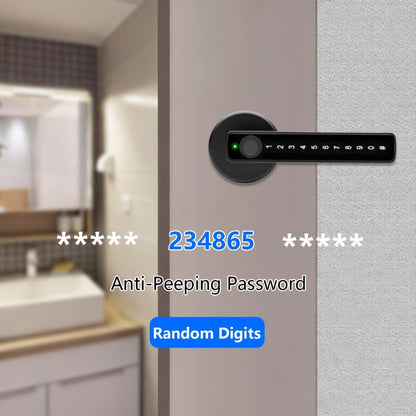 Smart Door Lock Handle with Fingerprint PIN IC Card and Key Access plus Four AAA Power and Type-C Port