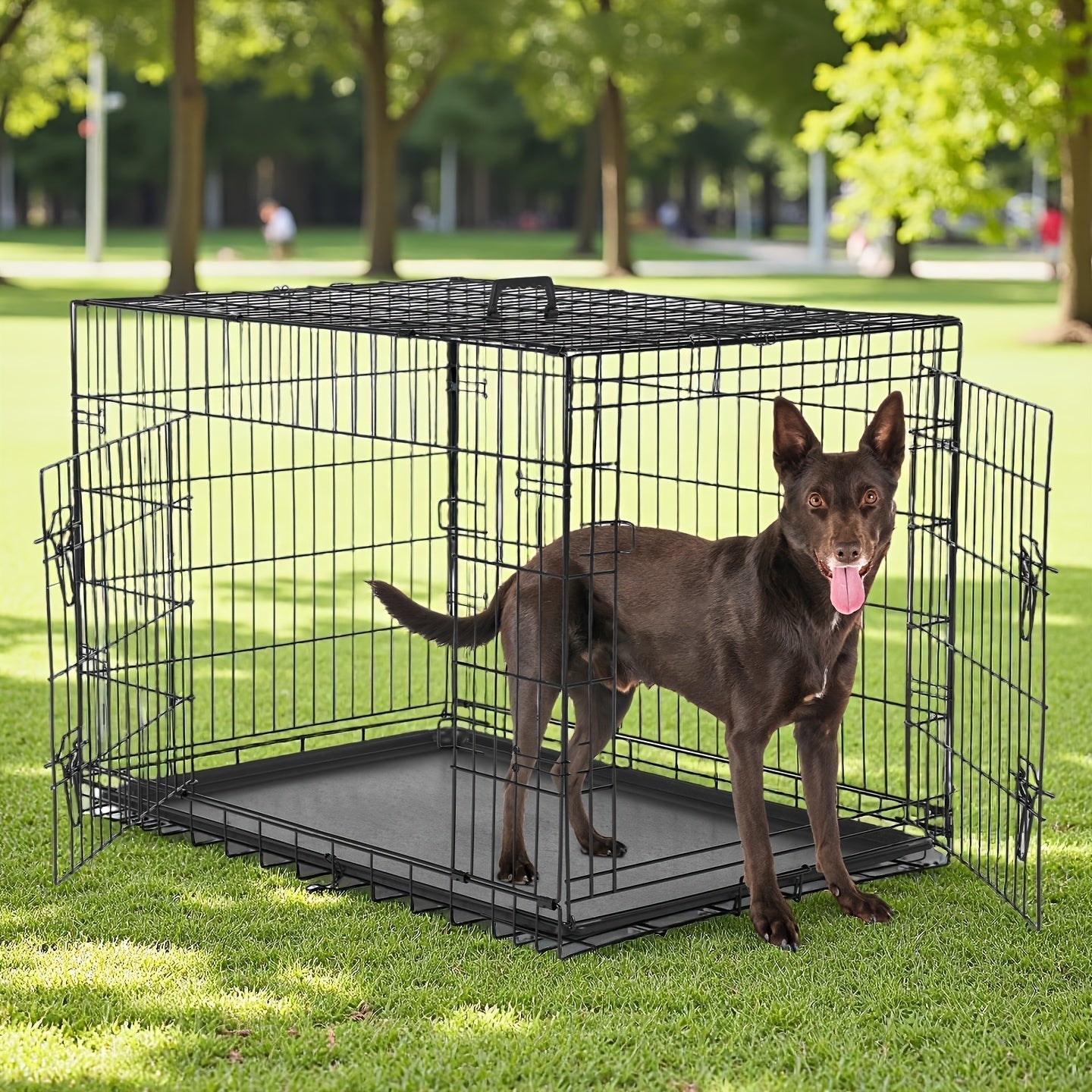 36-Inch Folding Wire Dog Crate with Two Door Accesses, Divider Panel, Removable Tray and Top Handle