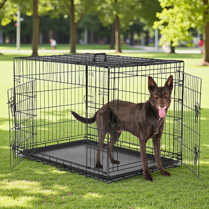 36-Inch Folding Wire Dog Crate with Two Door Accesses, Divider Panel, Removable Tray and Top Handle